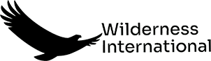 WILDERNESS INTERNATIONAL